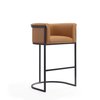 Manhattan Comfort Cosmopolitan Barstool in Camel and Black BS015-CL